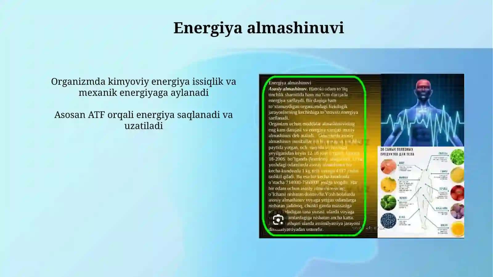 Organizmda asosiy energiya almashinuvi tenglamasi va uni tashkil etuvchilari 4