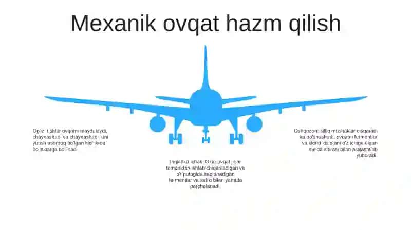 Oziq Moddalarning Inson Organizmida Hazm Bo‘Lishi 4