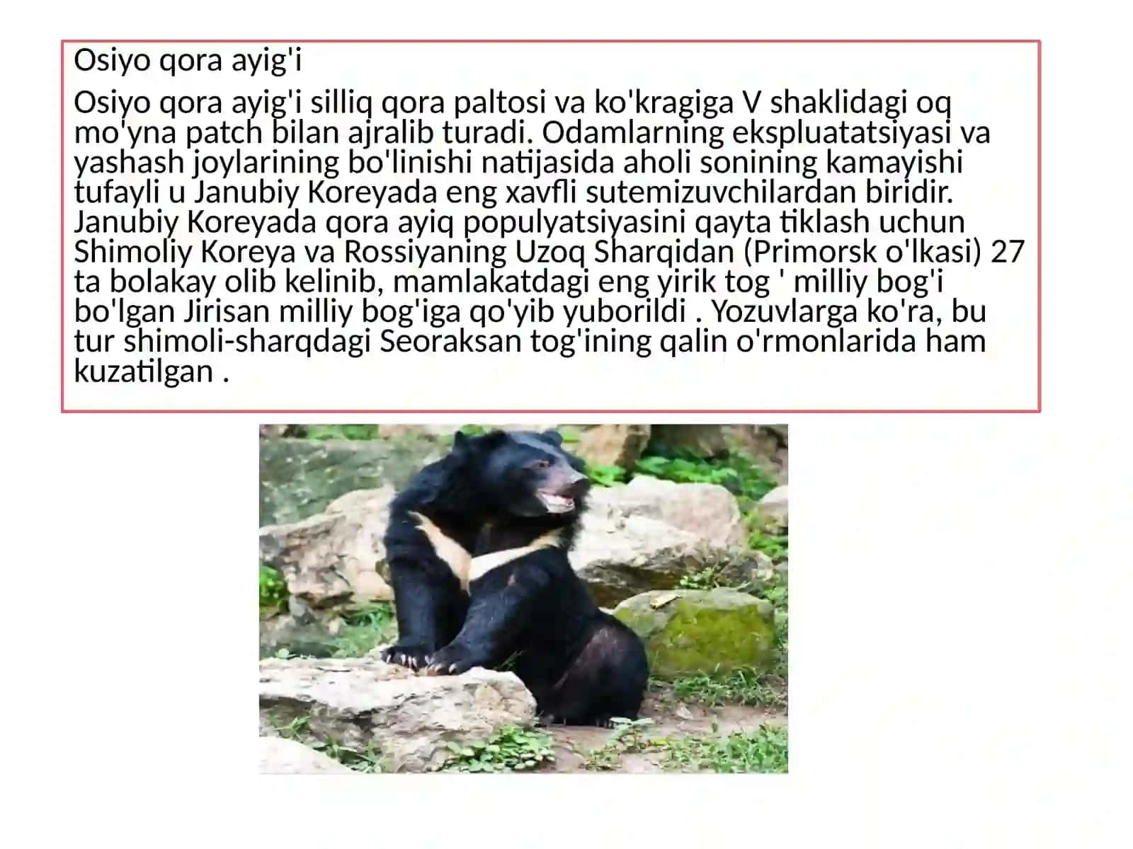 Oq qalpoqli turna 4