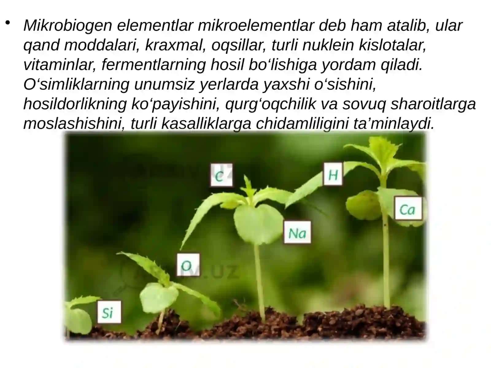Biofaol  elementlar 4