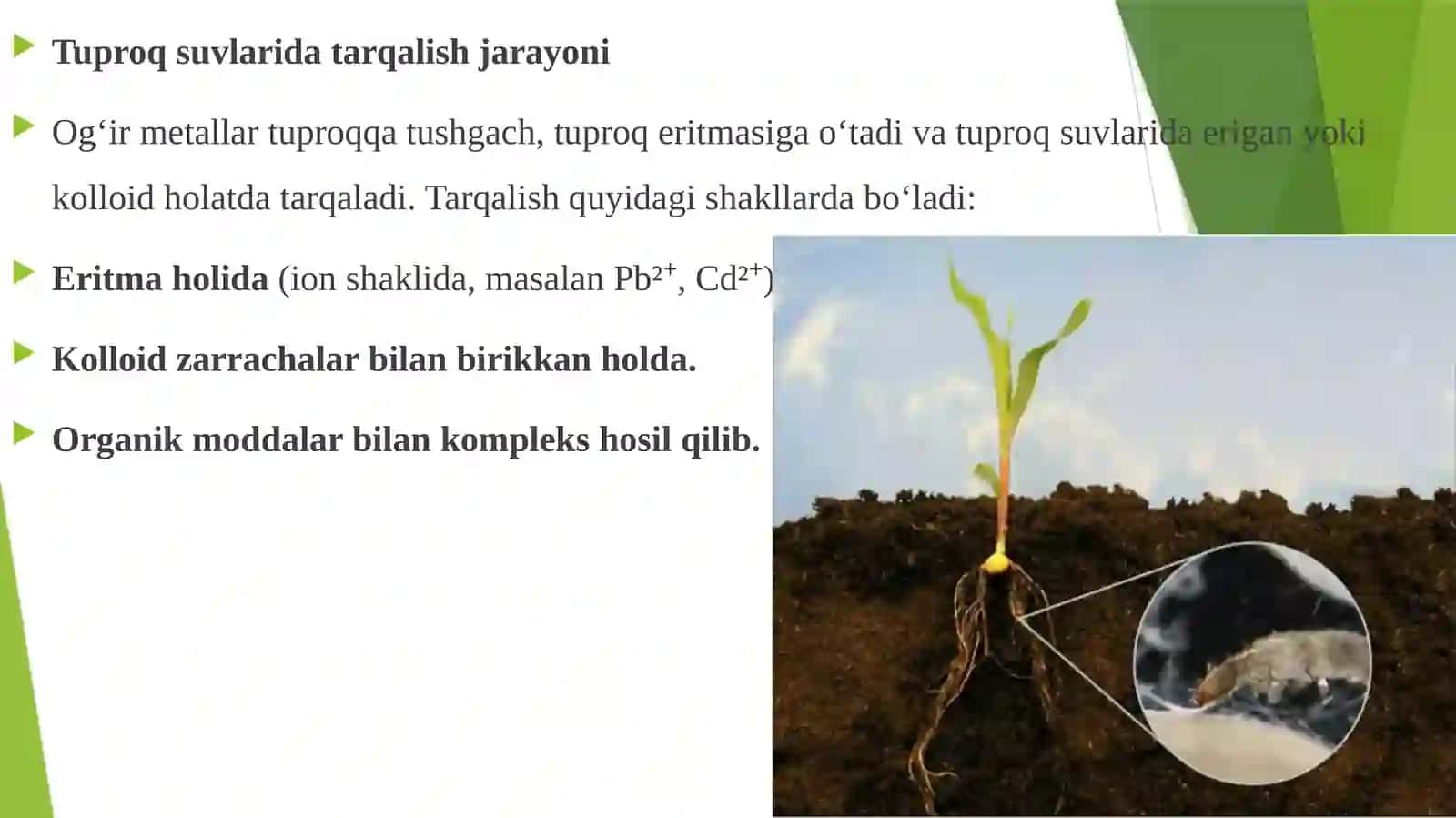 TUPROQ SUVOʻSIMLIKLARDAOGʻIRMETALLAR MIQDORI VA TUPROQ XOSSALARGATAʼSIRI 4