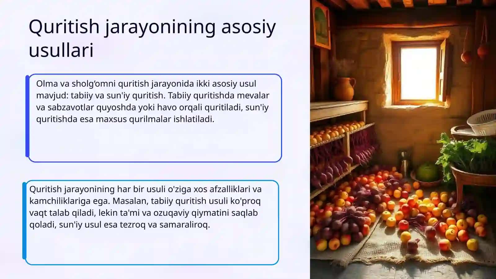 Olma va sholg‘omni quritish texnologiyalasi 4