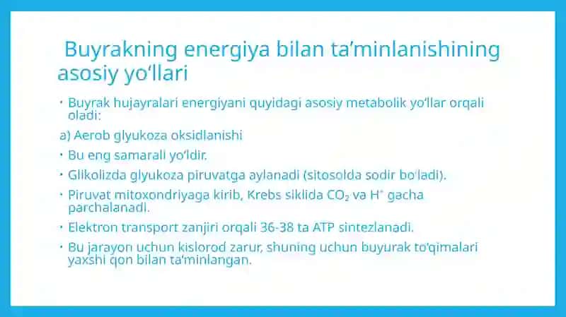 Buyrakning energiya bilan taminlanishining asosiy yollari 4