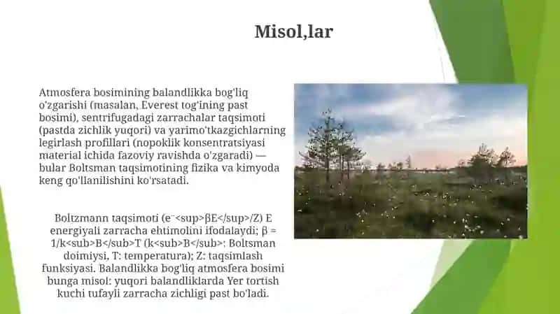 Boltzmann Taqsimoti: Asosiy Tamoyillar 4