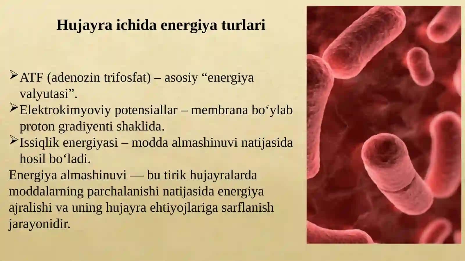 Mikroorganizmlartomonidanenergiyaolishusullari.Hujayraenergiyasiningshakllarivahosilbo'lishusullari 4