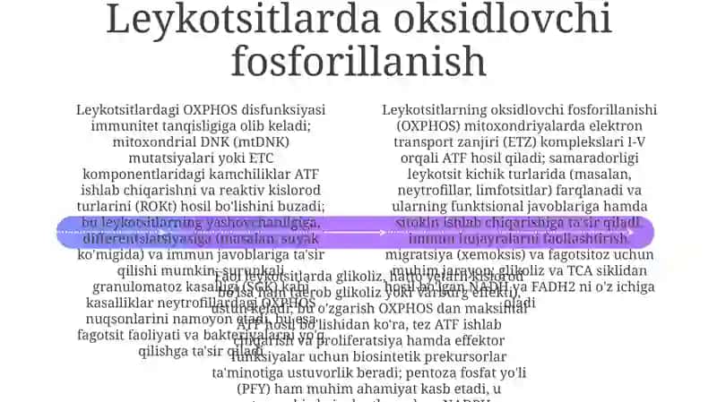 Leykotsitlar metabalizmi xususiyatlari 4