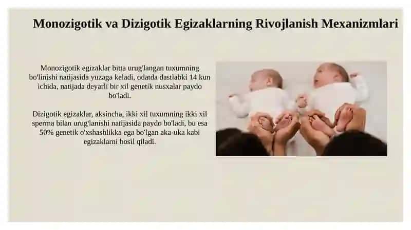 Egizaklar 4