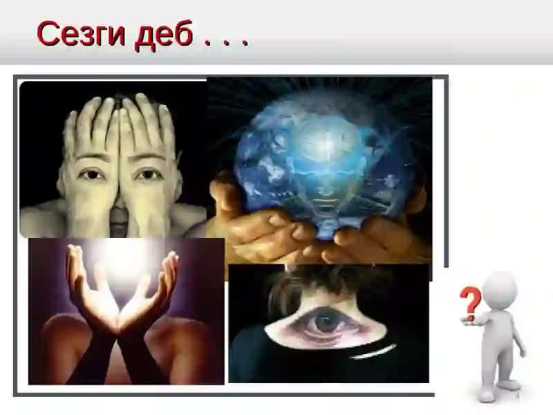 Sezgi 4