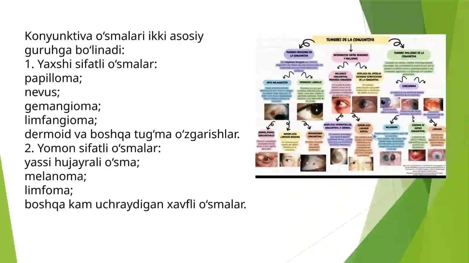 KONYUKTIVA O’SMALARI 4