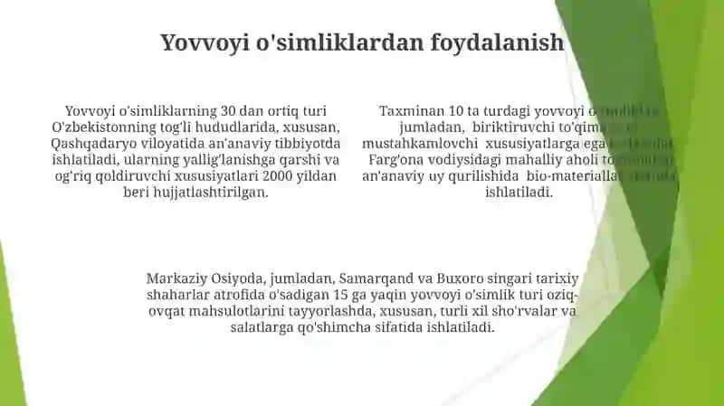Jag' jag'o'simligi 4