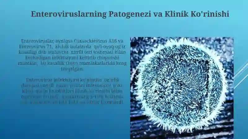 Rotaviruslar va entraviruslar 4