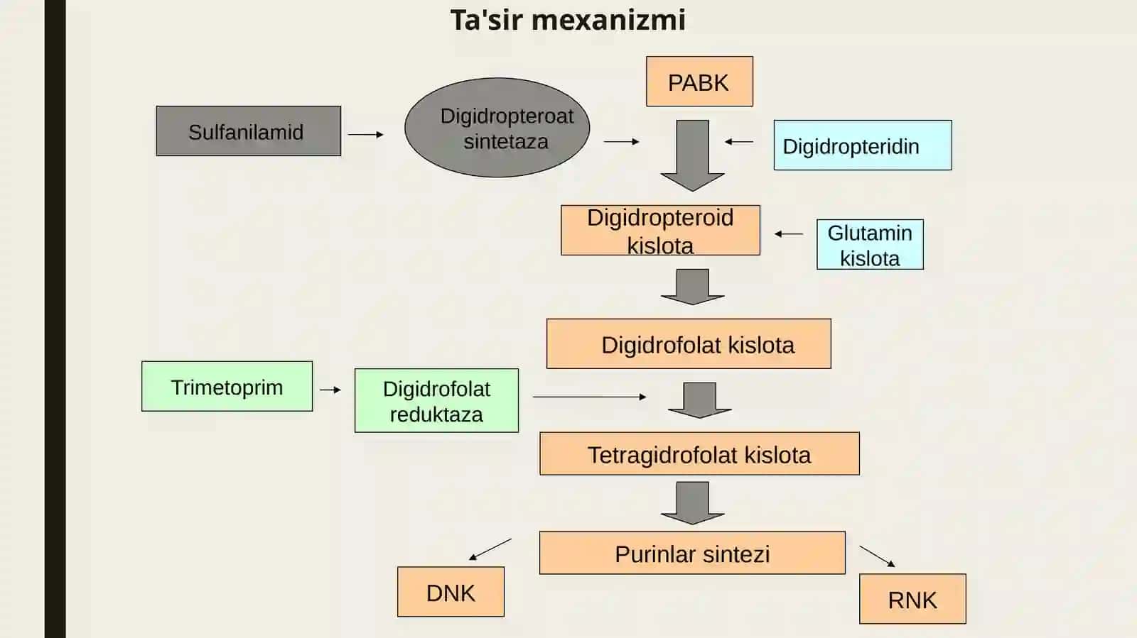 Sulfanilamidlar, nitrofuranlar, 8 oksixinolin, ftorxinolon unumlari farmakologiyasi 4