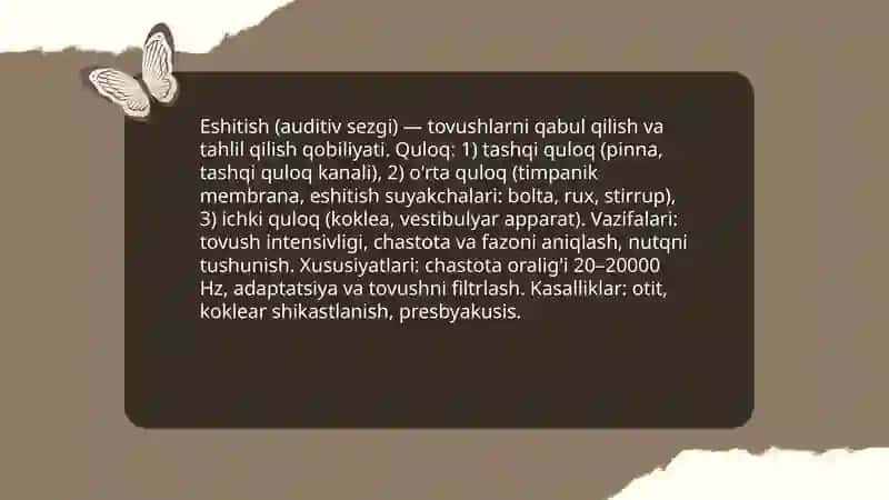 Sezgi turlari 4