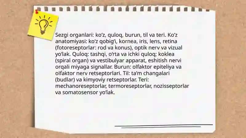 Sezgi 4