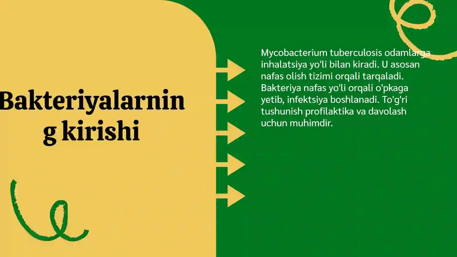 Yalliğlangan tuberkulyoz: Patogenezi 4