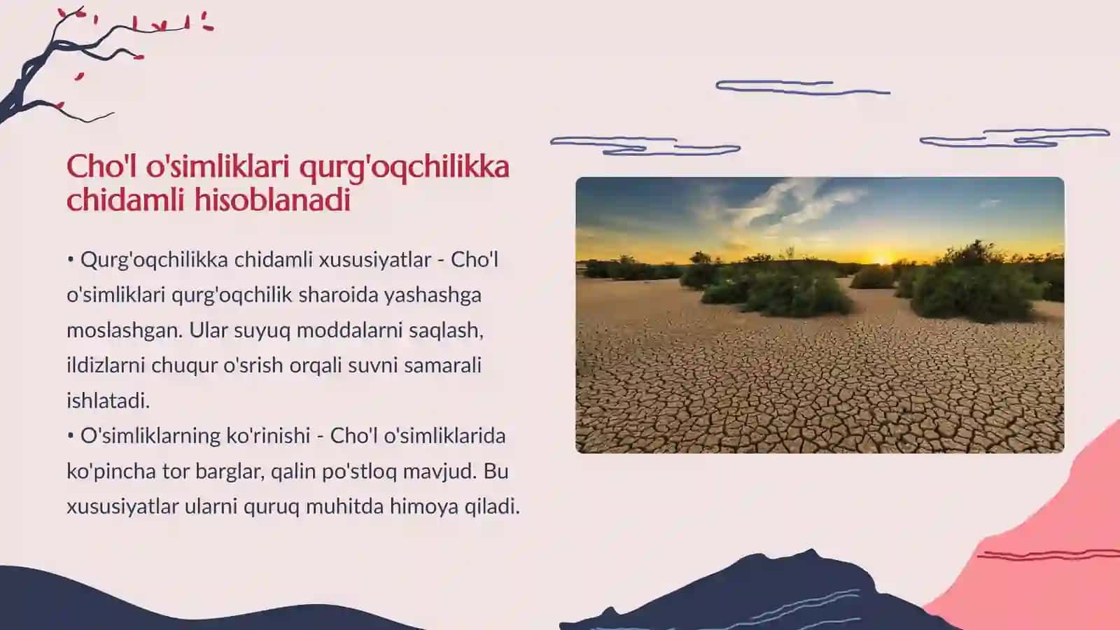 O'zbekistonning tog', cho'l, dashtlarida o'sadigan o'simliklari. 4