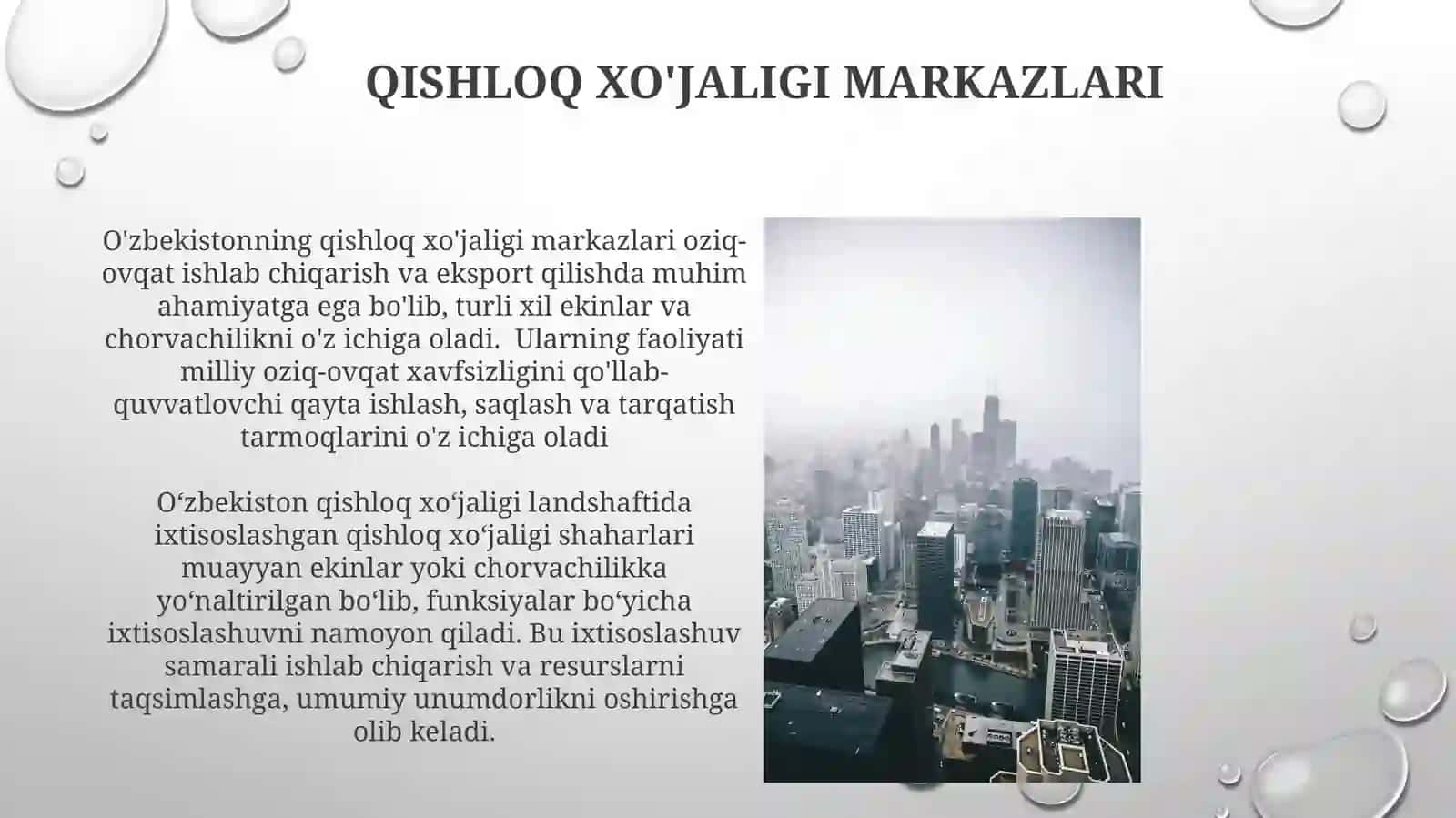 O’zbekiston shaharlarining funksional tiplari 4