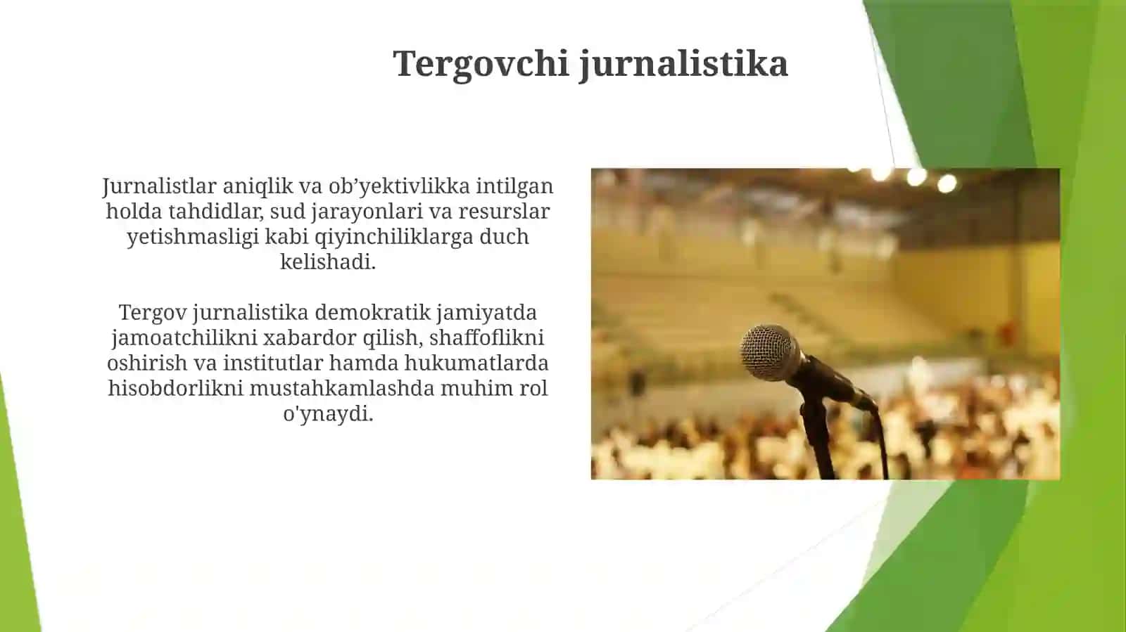 Jurnalistka 4