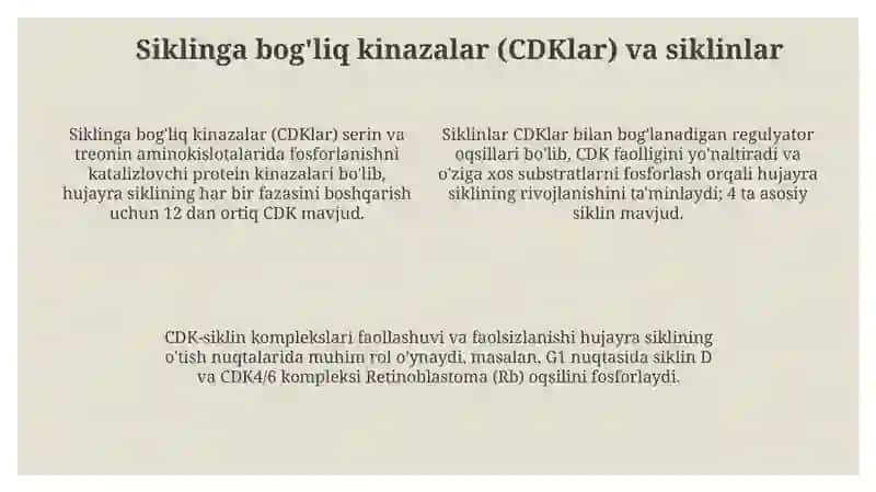 Hujayra sikli va uning boshqaruv mexanizmlari 4