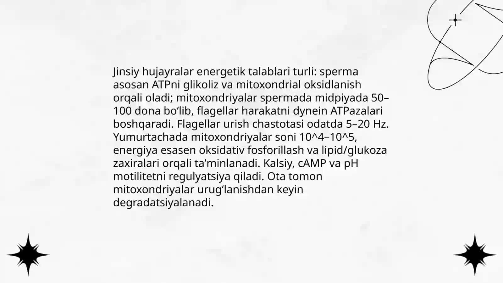 Arabboyeva Hulkaroy 4