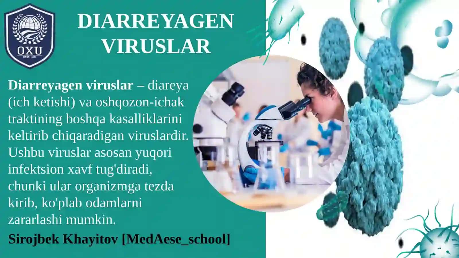 DIAREYAGEN VIRUSLAR, KLASSIFIKASIYASI, PATOGENEZI, LABORATORIYA TASHXISI. HAQIDA TO'LIQ MALUMOT 4