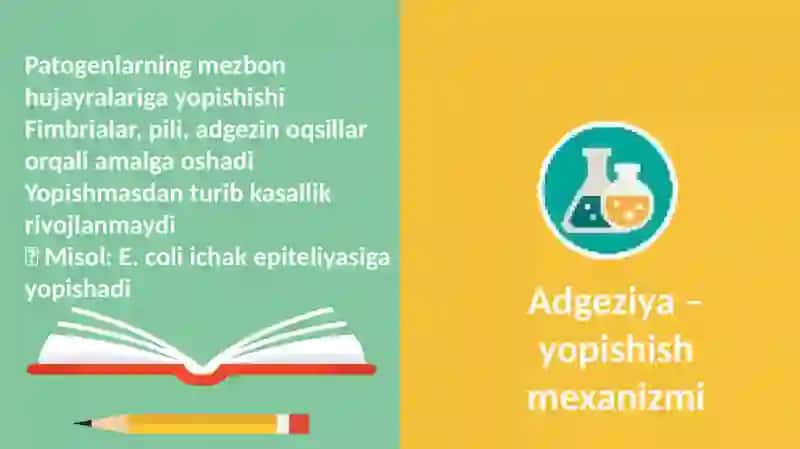 Patogenlik mexanizmlari 4