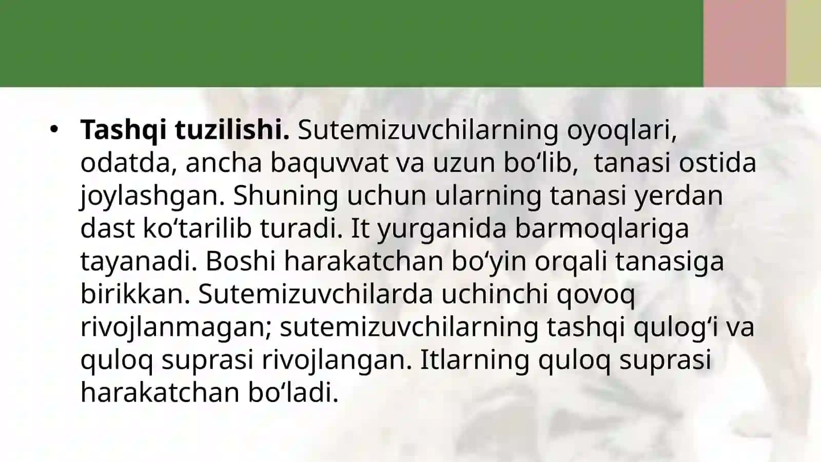 7-sinf Zoologiya 'Itning tashqi tuzilishi, skeleti va muskullari' ko'rgazma 4