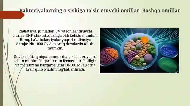 Bakteriyalar fiziologiyasi kimyoviy tarkibi oziqlanishi oʻsishi va koʻpayishi 4