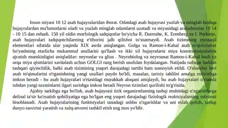 Nerv tizimi Neyron tarmoqlari 4