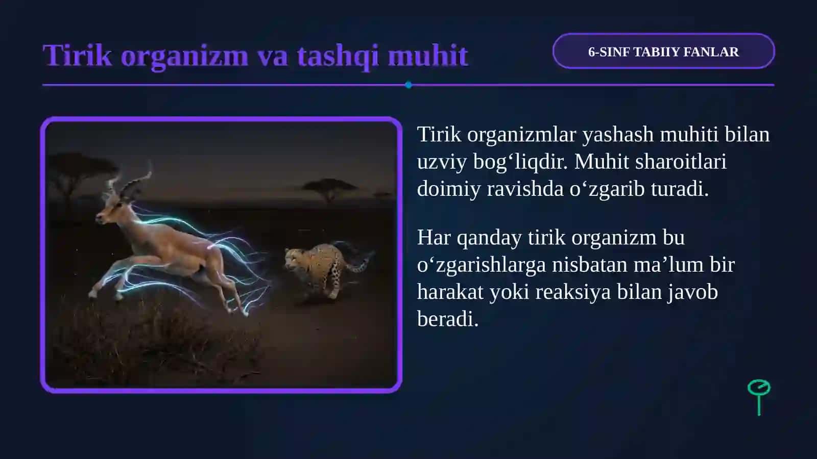 6-SINF TABIIY FANLAR 4