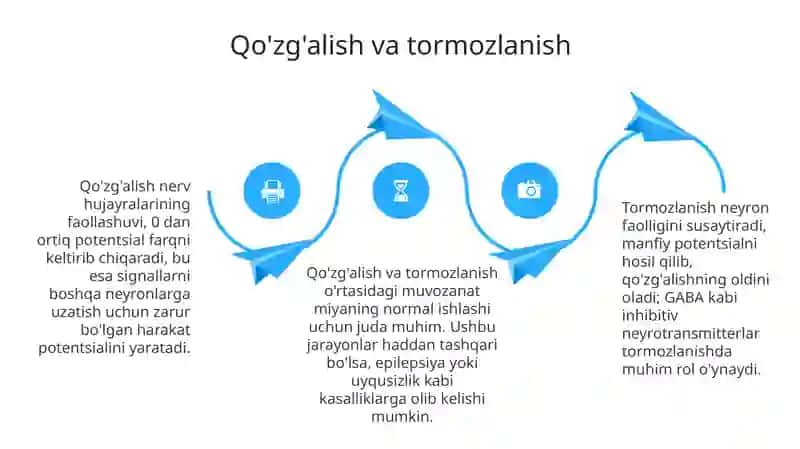 Oliy nerv qonuniyatlarining asosiy qonuniyatlari 4
