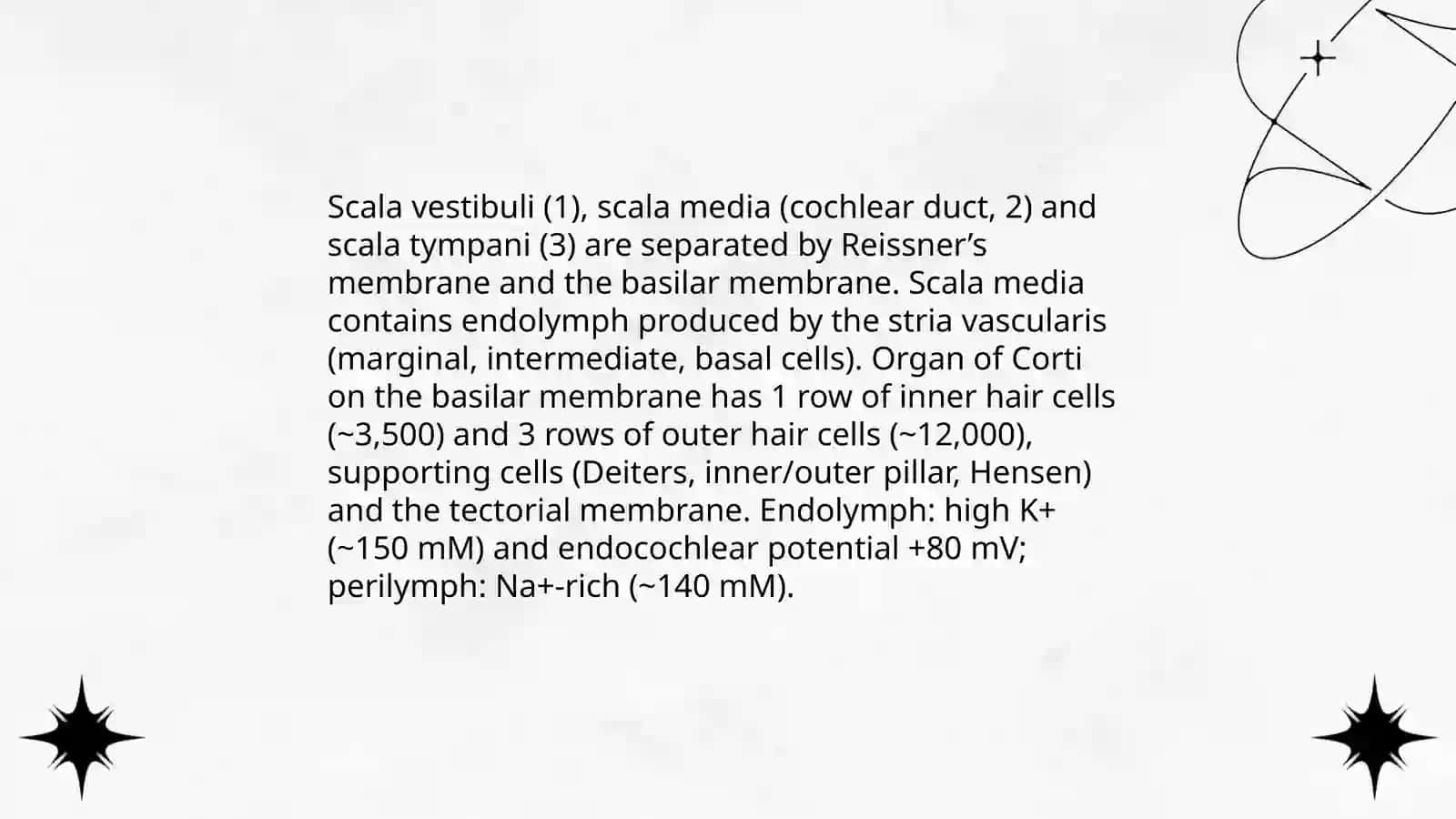 Histology of the organs of hearing and balance by Abdusamatova Sohiba 4