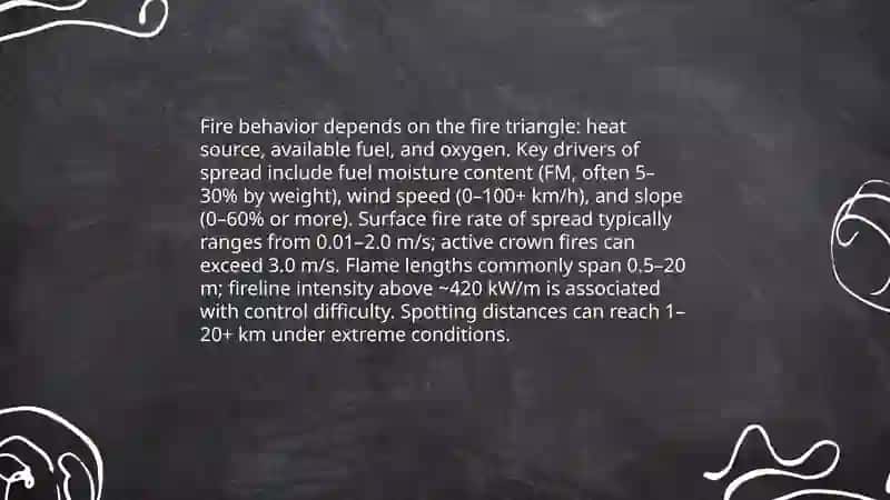 Wildfires 4