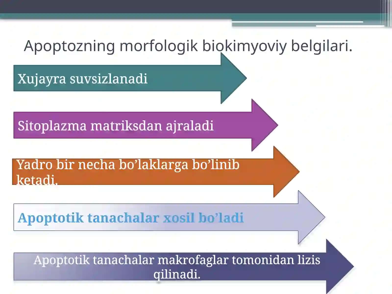 Hujayra o’limimexanizmlari.Apoptoz 4