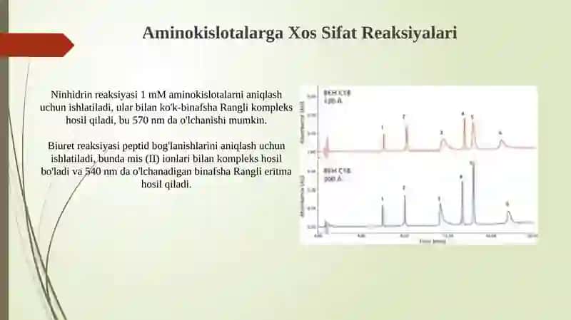 Aminokislotalar va Oqsillarning Ahamiyati 4