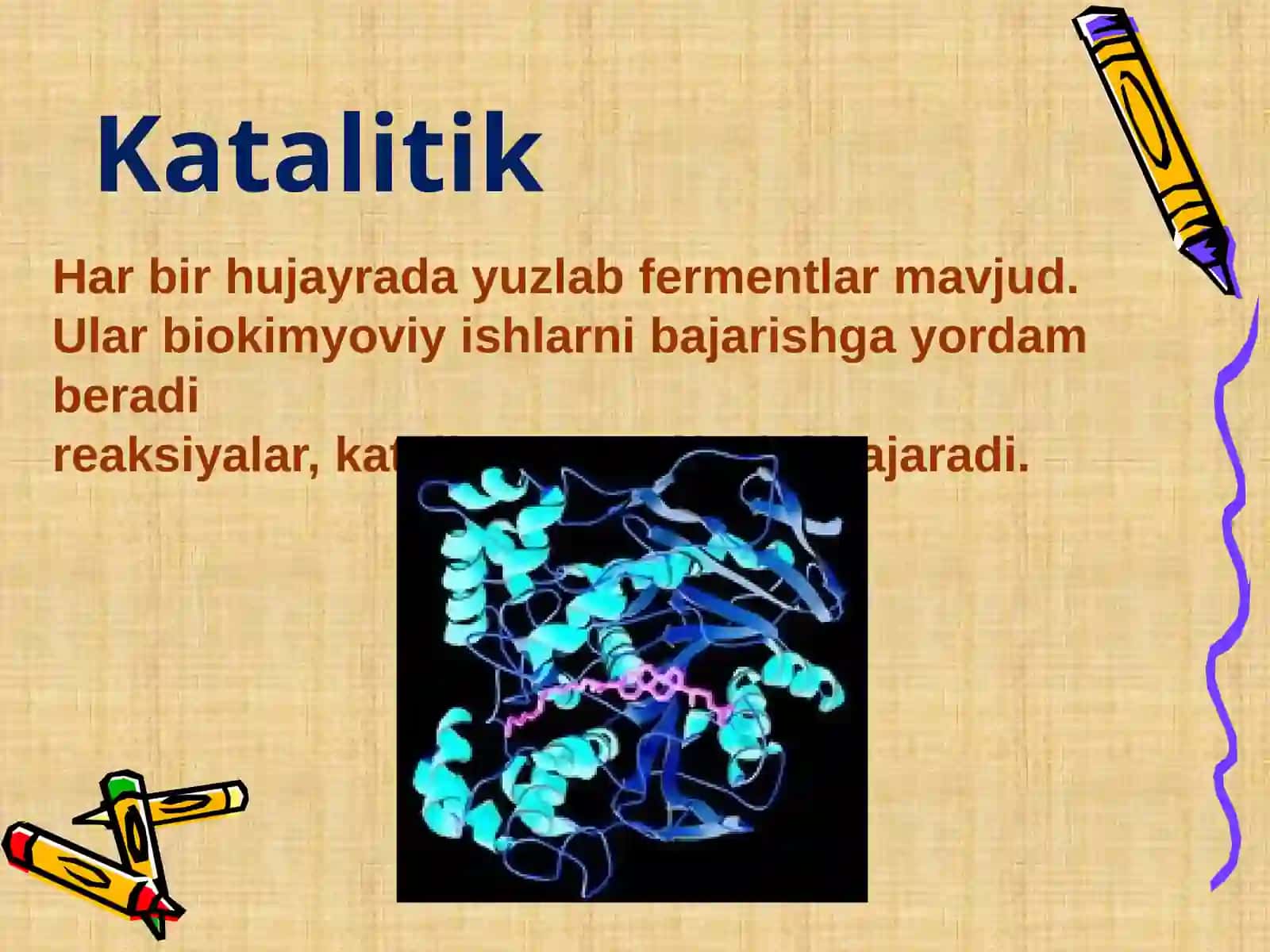 Funksiyalar oqsillar 4
