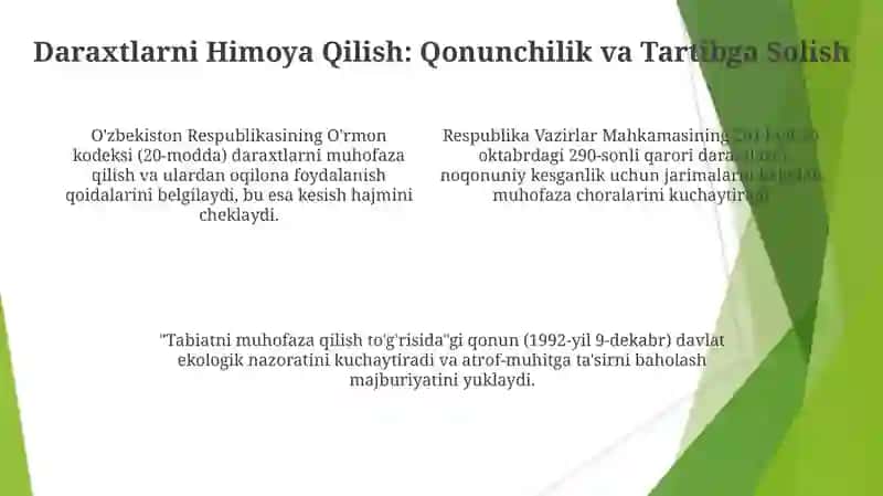 Daraxt kesish: Usullari, Qonunchilik va Atrof-muhitga Ta'siri 4