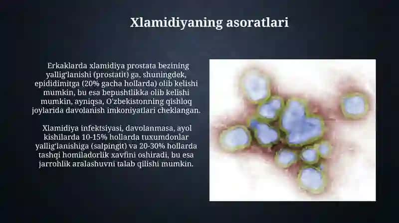 Patoge Xlamidiya 4