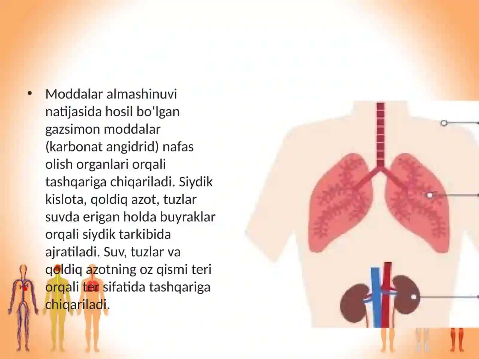 Ayirish sistemasining ahamiyati 4