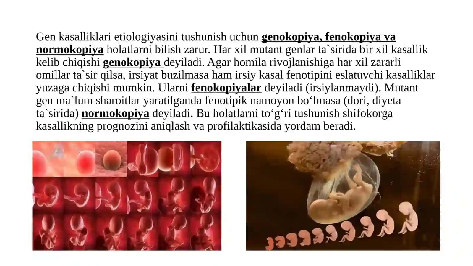 Biokimyo fanida Gen Mutatsiyalari 4