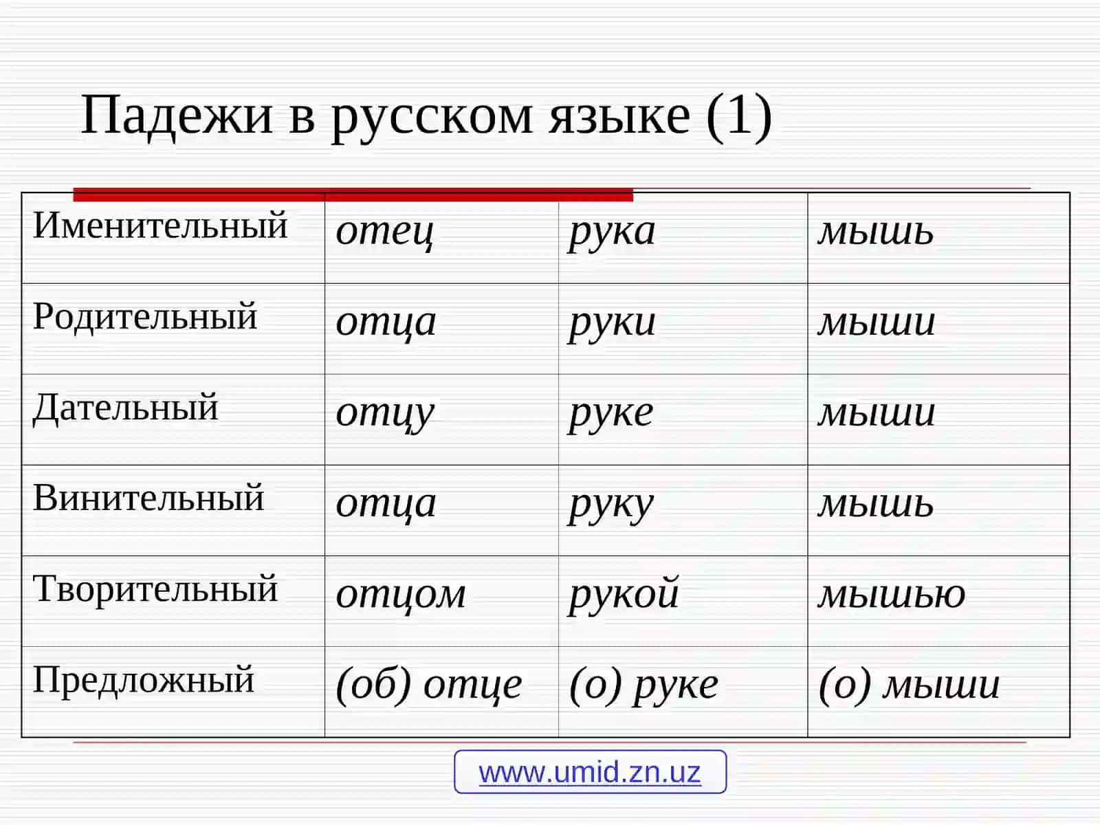 Падежи в языках мира 4