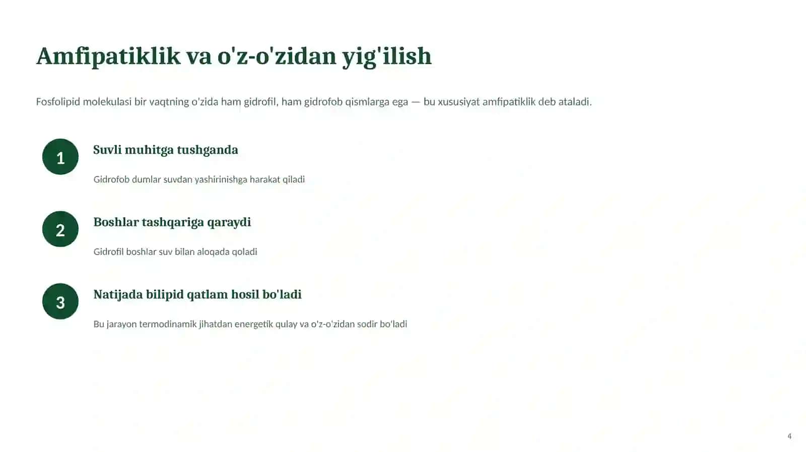 IKKI QAVATLI LIPID MEMBRANALARI 4