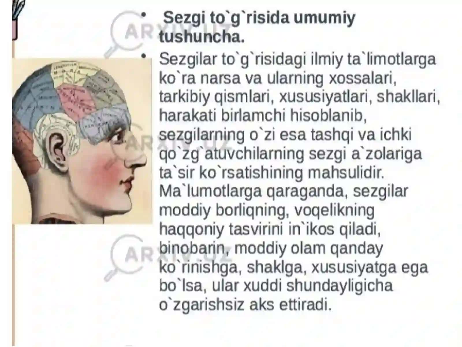 Sezgilar haqida umumiy tushuncha va uning nerv fiziologik asoslari 4