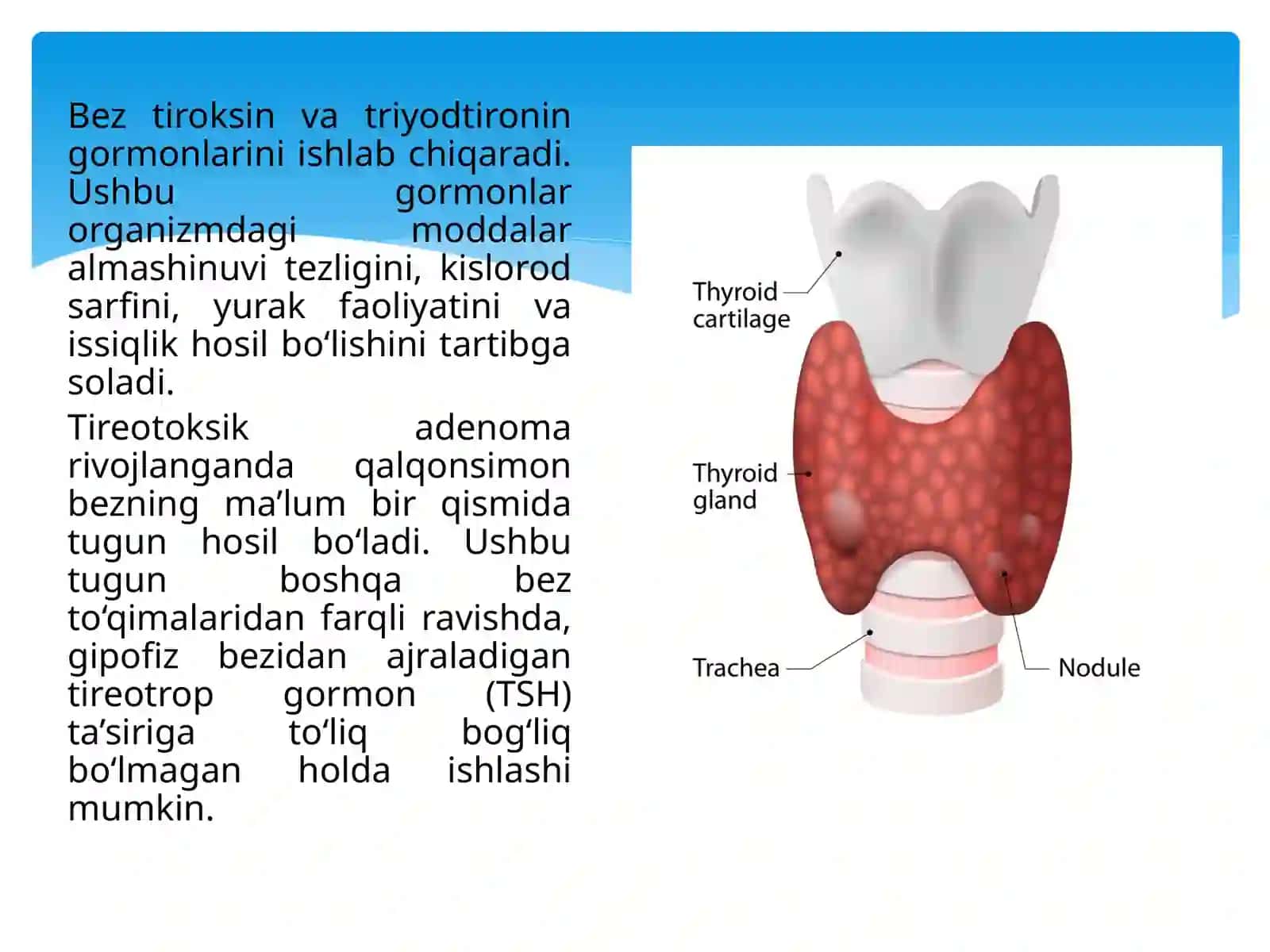 Toreotoksik adenoma 4