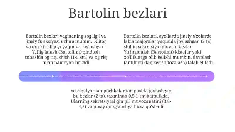 Ayollar jinsiy tizimi 4