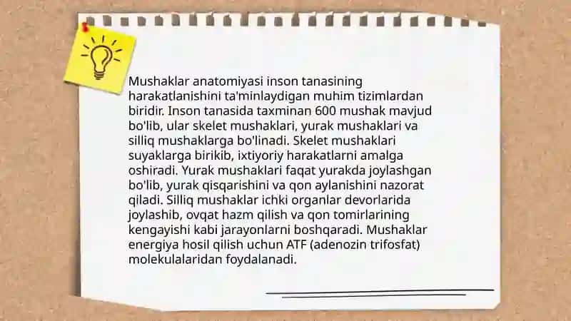 Mushaklarning ishi va biomexanikasi 4
