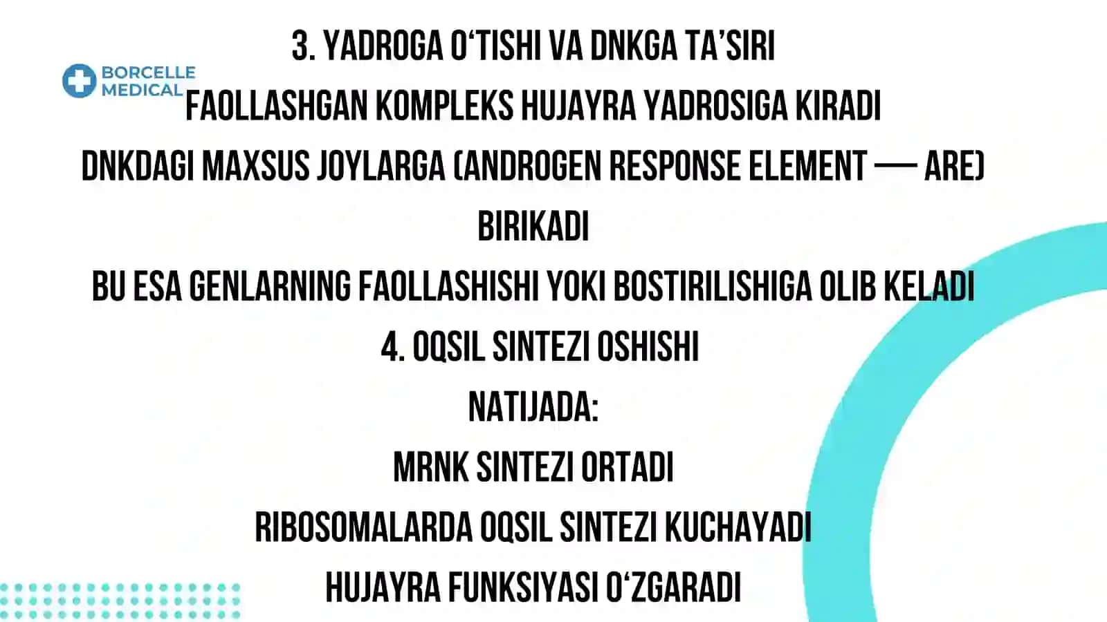 Testosteronning ta’sir mexanizmi (biokimyo nuqtai nazaridan) 4