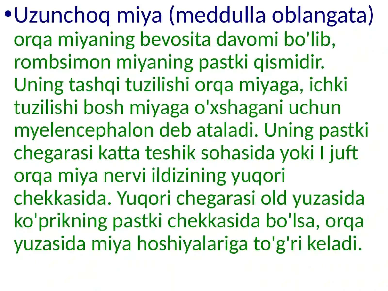 Uzunchoqmiya.Varoliykoʻprigi.Miyacha.Boshmiyaning4-qorinchasi 4