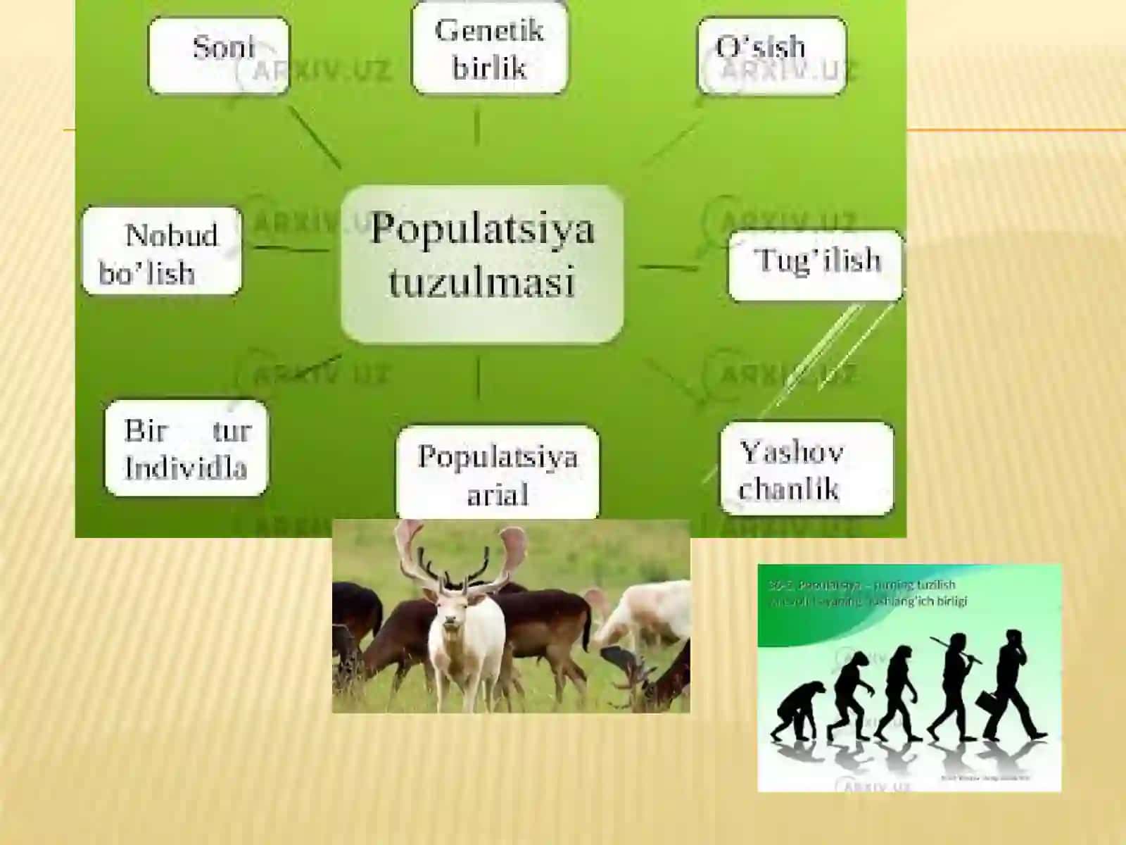 ANTROPOGENETIKA USULLARI: Populyatsion statistik usuli 4