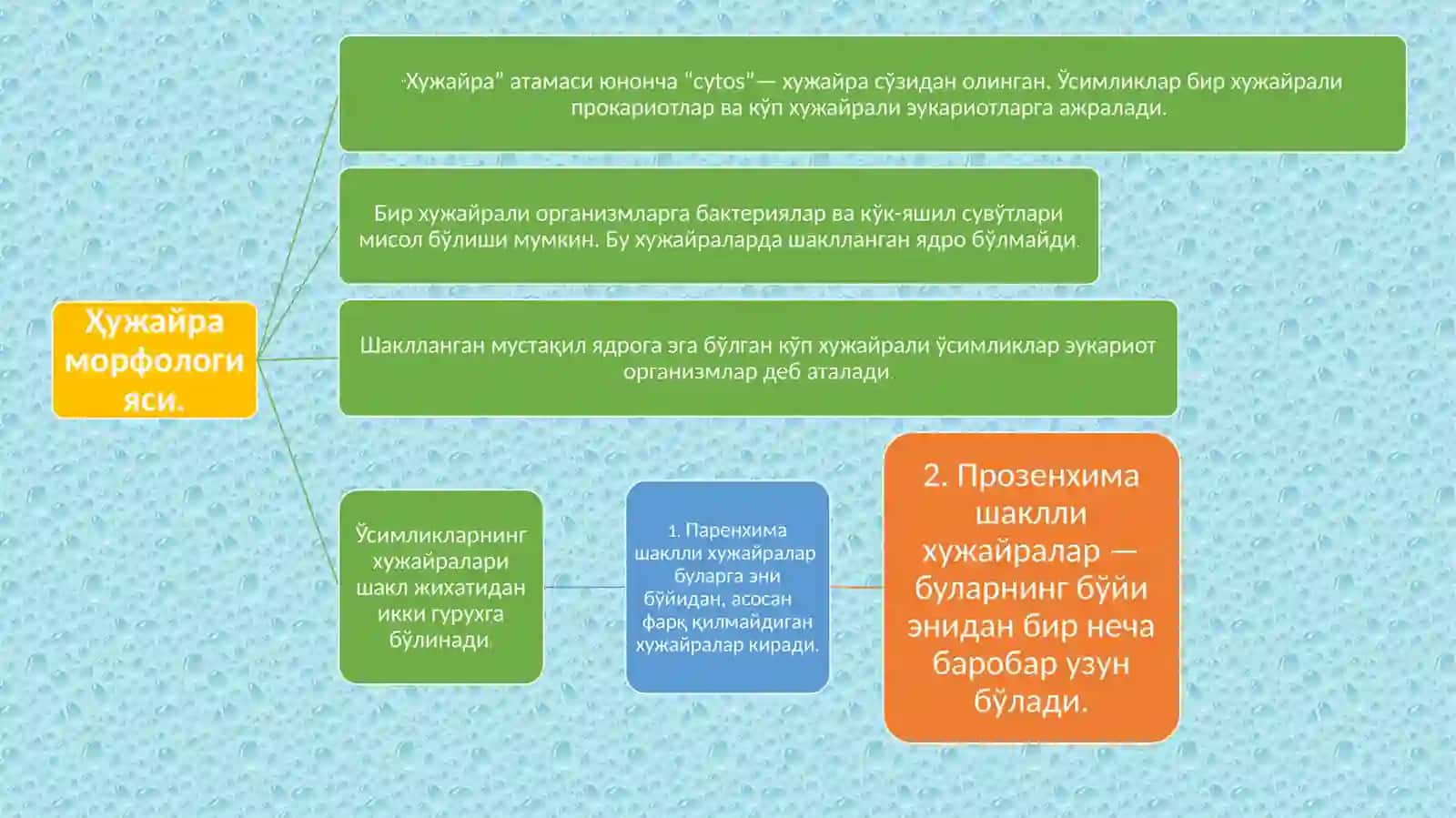 Ҳужайранинг тузилиши 4